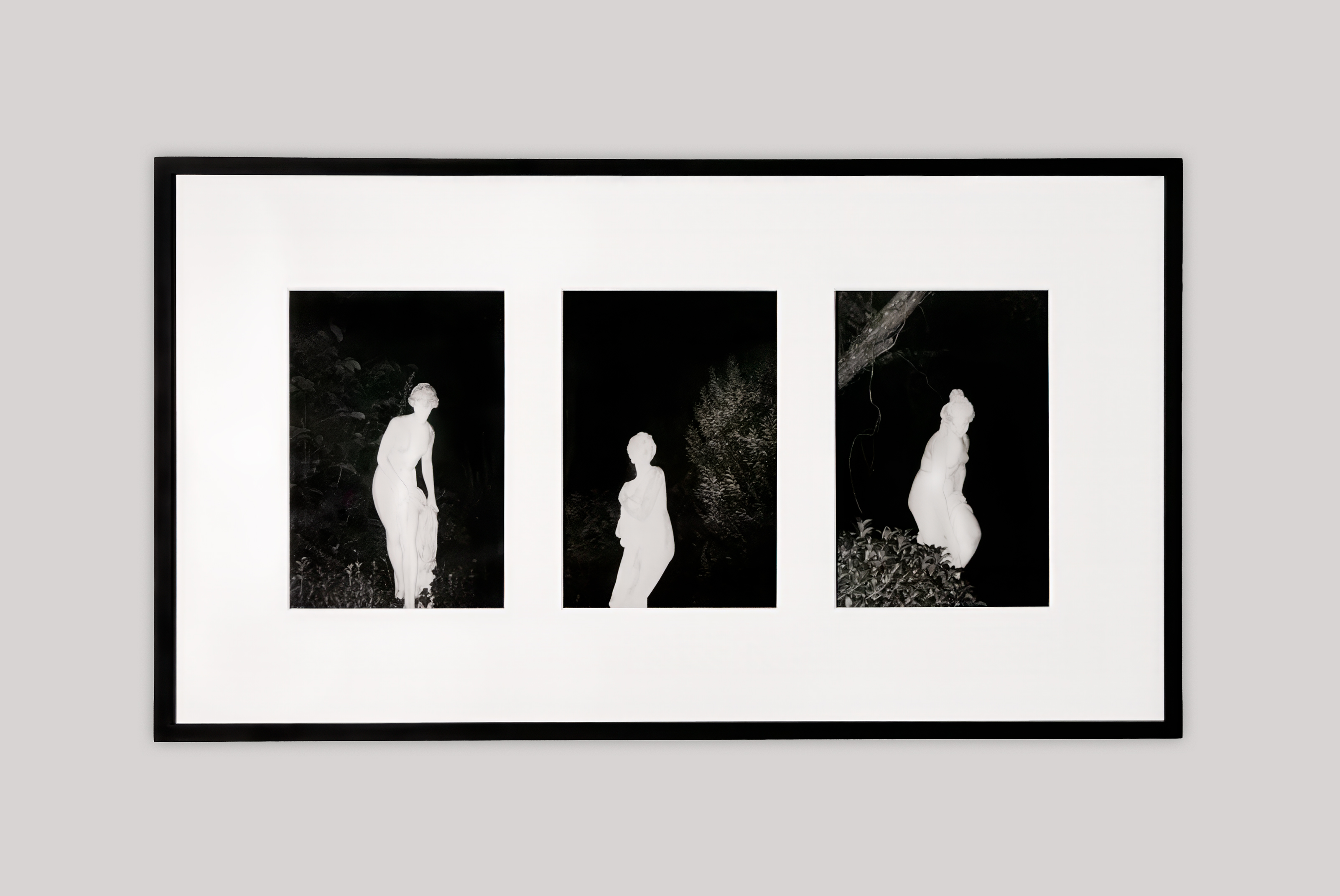 Opera fotografica Evanescenza in bianco e nero