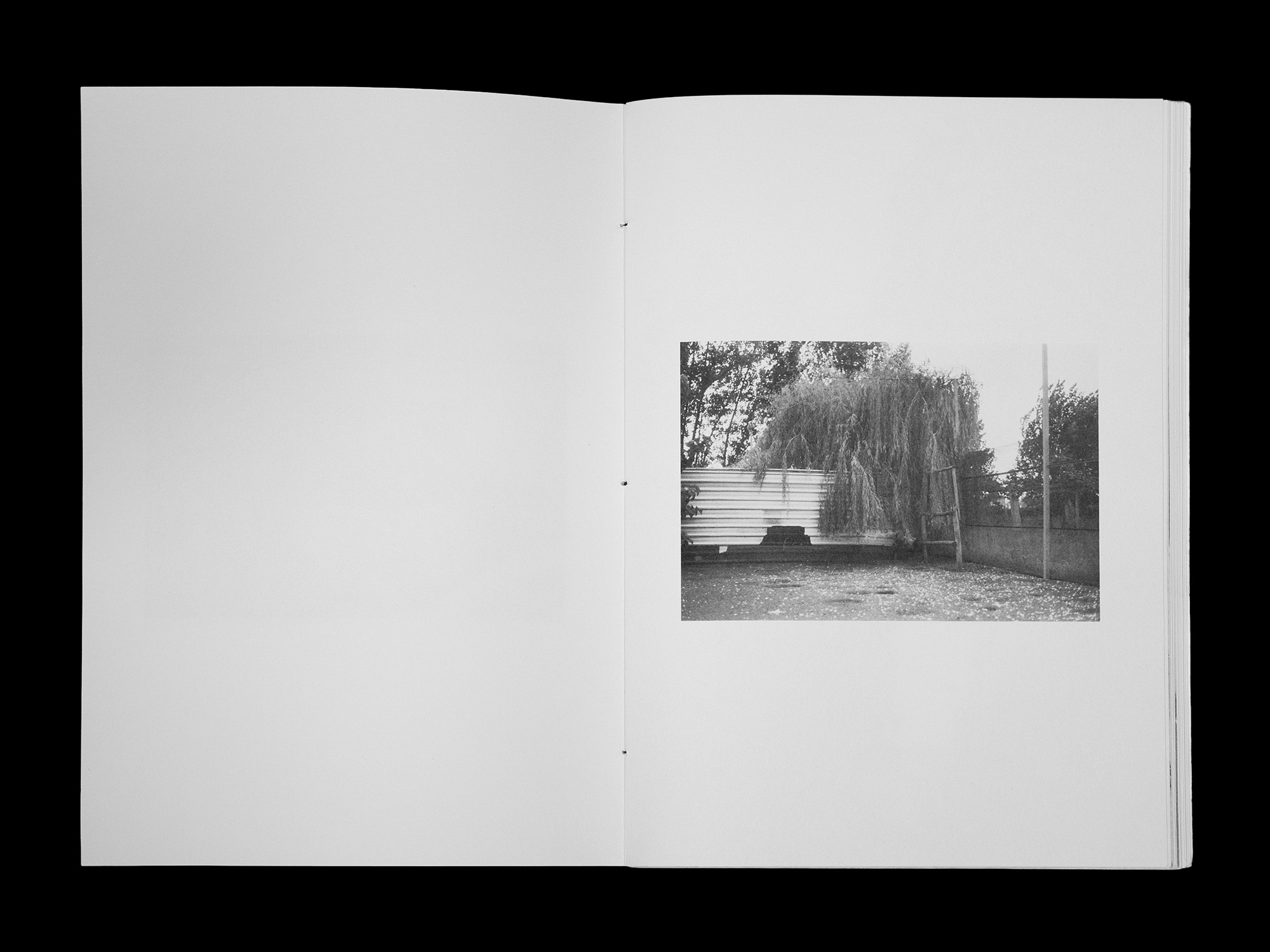Dummy della rivista, interno 2